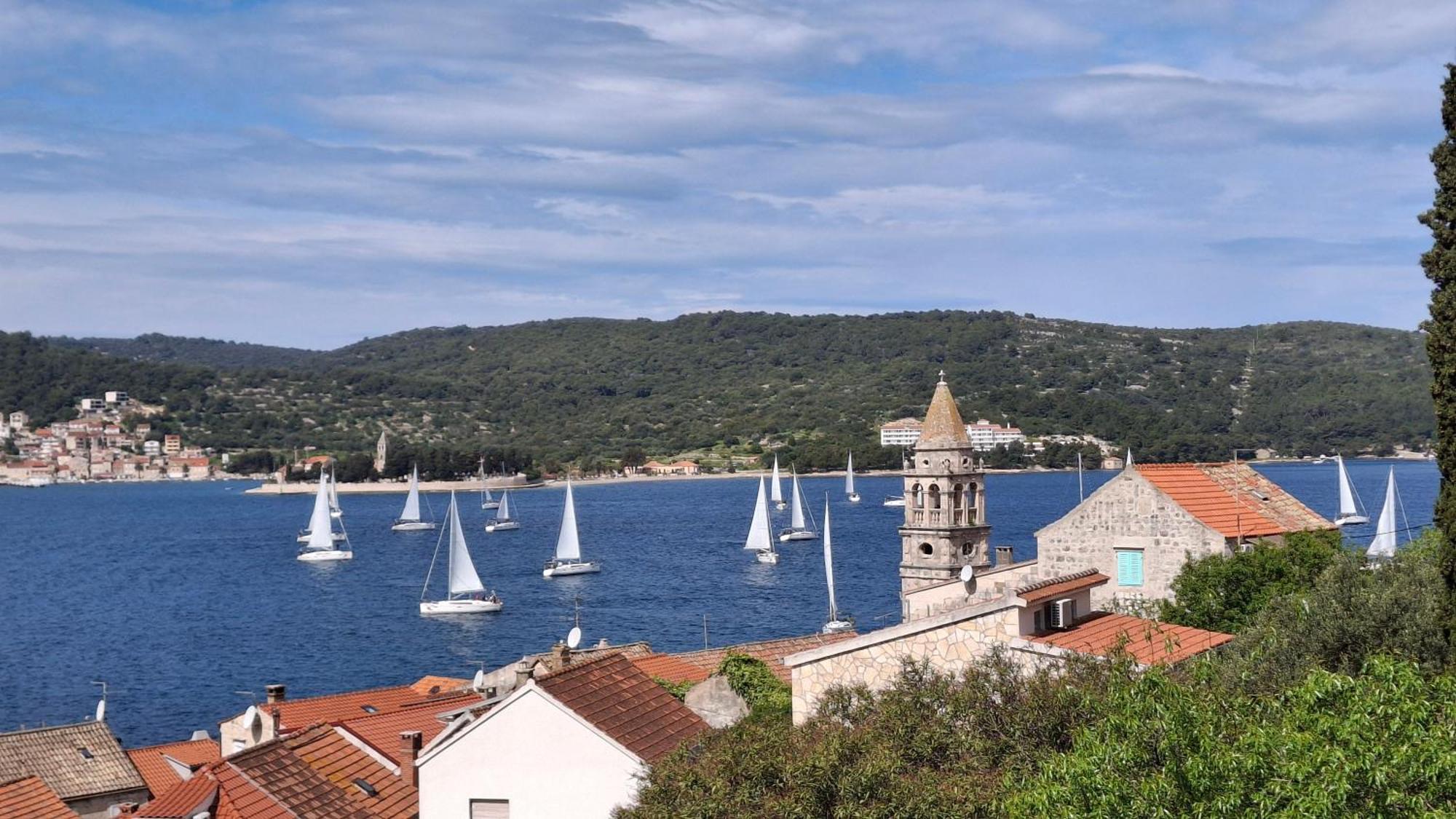 Stunning View-maleni Vis