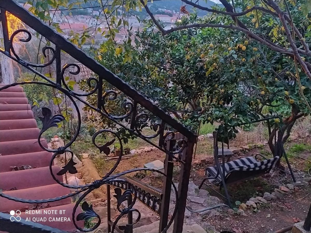 Stunning View-maleni Apartment *